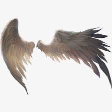 Real Wings Wings Clipart Product Kind Dayan Wings Png Transparent Clipart Image And Psd File For Free Download Wings Png Wings Drawing Angel Wings Art