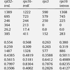 Image result for Brachychloa schiemanniana