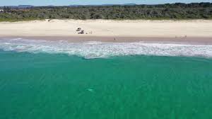 Tuncurry rockpool is a shark netted swimming enclosure, formed by breakwalls which mark the entrance to wallis lake. White Shark Dead Tuncurry Beach Nsw 6 8 19 Youtube
