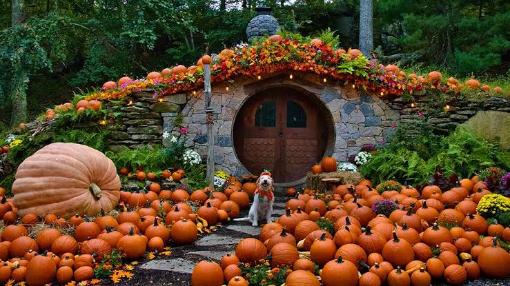 Pastorino’s Pumpkin Farm