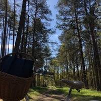 Zgodnie z ustawą o ochronie przyrody z 2004 r. Park Narodowy Bory Tucholskie Nationalpark