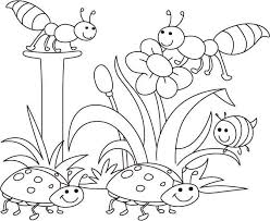 Free coloring pages for kids homecolor.us. Insect Coloring Pages Best Coloring Pages For Kids