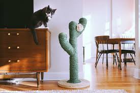 Great savings & free delivery / collection on many items. Make A Super Cute Cactus Scratching Post Best Friends Pizza Club