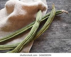 Image result for Inga