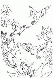 And these 20 hummingbird coloring pages can help your child create some very pretty pictures of these beautiful birds. Coloring Pages Of Hummingbirds Coloring Home