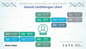 Data Me Video Series Finding Family With Big Dna Data