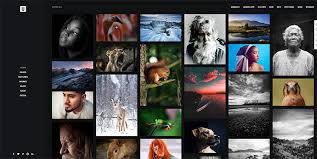 25 best wordpress themes for photographers for 2021. 20 Best Dark Photography Portfolio Wordpress Themes Bashooka