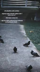 Ali Radiyallahu Anh A Sordular Basimiza Gelen Sikintilar Imtihan Midir Yoksa Ceza Mi Ilmin Kapisi Cevap Verir Eger Bizi Allah A Yaklastiriyorsa Imtihandir In 2020