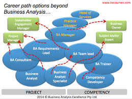 Business Analysis Career Progression Options This Picture Illustrates Alternative Career Path Opti Business Analyst Business Analyst Career Business Analysis