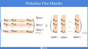 Materi kuliah matriks halaman 1 matriks. Elemen Matriks Ordo Identitas Jenis Transpose Determinan Invers