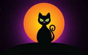 Sollte der standard hintergrund von windows 7 zu langweilig sein, können sie das ändern und nach eine bestimmt zeit automatisch ein anderes desktophintergrund. Hintergrundbilder Schwarz Halloween Silhouette Mond Orange Whiskers Jack O Laterne Schwarze Katze Dunkelheit Grafik Computer Tapete Wirbeltier Erfundener Charakter Katze Wie Saugetier Kleine Bis Mittelgrosse Katzen Fleischfresser