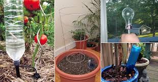 Arrosage goutte a goutte avec bouteille plastique. Systeme Goutte A Goutte Fait Maison 5 Projets Faciles Et Ecolos