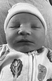 Hebron Harvest Fair Returns with New Attractions