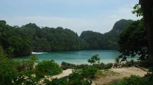 Tuliskan Potensi Sumber Daya Alam Yang Ada Di Daerahmu Beserta Penjelasannya Tribun Sumsel