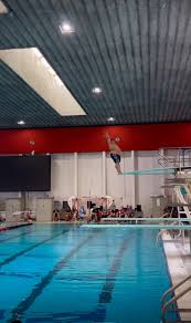 Diver excels through regionals