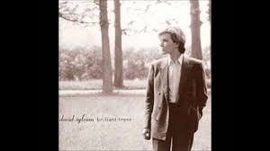 David Sylvian-Backwaters (2010 remaster)