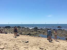 Methodology for Analyzing the Effects of the Block Island Wind Farm (BIWF) 