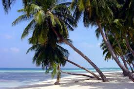 Vaste choix de séjours tout inclus pour des vacances all inclusive. Hotel Karaibes Hotel Guadeloupe Promovacances