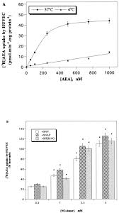 Cabral 400 mg 24 film tablet kısa ürün bilgisi i̇çeriği. Anandamide Uptake By Human Endothelial Cells And Its Regulation By Nitric Oxide Journal Of Biological Chemistry