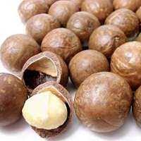 Get latest info on cashew nuts (kaju), kaju, kaju nuts, suppliers, manufacturers, wholesalers, traders, wholesale suppliers with cashew nuts (kaju) prices for buying. Dried Grapes Manufacturers Dried Grapes Suppliers Exporthub