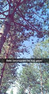 Fake Stroy Sahte Instagram Hikayesi Tumblr Tumblr Sozler Instagram Tumblr Tumblr Sozleri