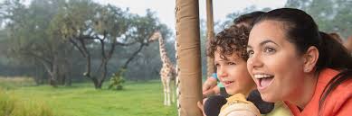 Is there a meet and great with the character fozzie bear?