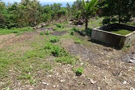 To facilitate implementation of the concept plan and master plan, state land is released for development through the government land sales (gls) programme. Bali Land With Sea View For Sale North Bali Land Sales Agency