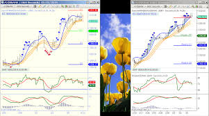 Indian Stocks Glance At Intraday Charts 06 03 2014