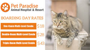 Search in your neighborhood, read reviews by pet owners, and book the perfect pet sitter. Boarding Services In Apopka Fl In Location St Pet Paradise Animal Hospital Resort