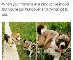 Sunday Hangover Memes