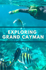 Stingrays Sun And Turtles Grand Cayman With Kids Adventures Smiles In 2020 Grand Cayman Kids Adventure Caribbean Vacations