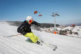 Prędkość bezpieczna to ta, nad którą panuję. Marek Malec…