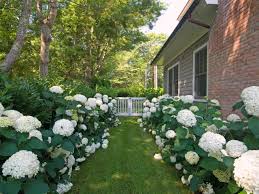 Check spelling or type a new query. Garden Design Hydrangea Cost Of Sod