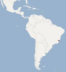 Emitido pela aplicap soluções em capitalização. Dryadonycteris Capixaba Wikipedia