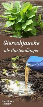 Pin Auf Gemusegarten