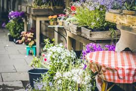 Uk florist supplies | sundries wholesale. Boston Bulbs Wholesale