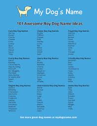 101 Boy Dog Name Ideas My Dogs Name