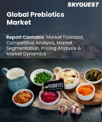 Prebiotics Market Size, Share, Growth Analysis, By Ingredients, Application  - Industry Forecast 2025-2032