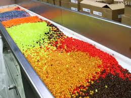 How Jelly Belly Jelly Beans Are Made
