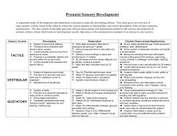 Prenatal Sensory Development Infant Toddler Connection Of