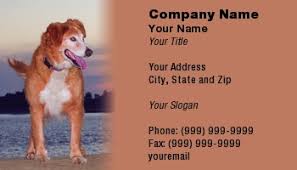 Hello welcome to happy pets no frets this is an independent pet sitting business where i offer one on one care for your loved pets Pet Sitter Business Cards