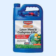 Amazon com bayer cockroach pest control patio lawn garden. Bioadvanced At Menards
