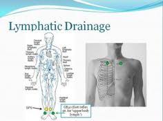 63 LifeWave With Patsy ideas