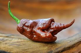 Maybe you would like to learn more about one of these? Chilisorten Auf Der Scoville Scharfeskala Miomente Entdeckermagazin