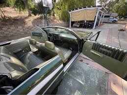 Image result for Dark Green 1970 Polara