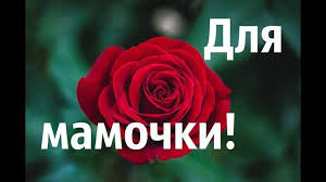 Рідна матуся, у твій день ангела я бажаю тобі багато щасливих днів, які вічно будуть зігрівати твоє добре серце! Najkrashi Privitannya Mami Z Dnem Narodzhennya Top 25