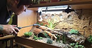 This Style Of Arid Bioactive Vivarium Could Be Used For Many Species Of Reptile Including Leopard Geckos Bearded Dragons Corn Snakes And Kingsnakes