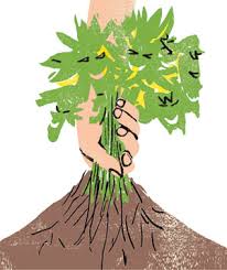 Free Pulling Weeds Cliparts, Download Free Pulling Weeds Cliparts png  images, Free ClipArts on Clipart Library