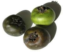 Maybe you would like to learn more about one of these? Black Sapote Nutrition Facts Black Sapote Varities Black Sapote Dessert White Sapote Recipes