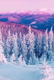 Which is the best desktop background for winter? Cute Pinterest Winter Desktop Wallpaper Novocom Top